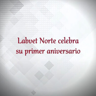 FELIZ ANIVERSARIO LABVET NORTE