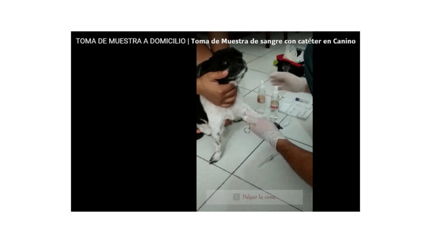 TOMA DE MUESTRA A DOMICILIO